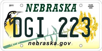 NE license plate DGI223