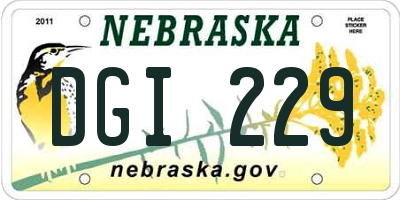 NE license plate DGI229