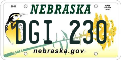 NE license plate DGI230