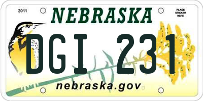 NE license plate DGI231