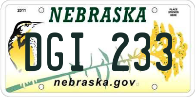 NE license plate DGI233
