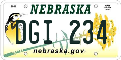 NE license plate DGI234