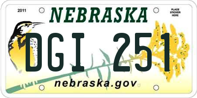 NE license plate DGI251
