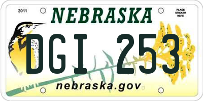 NE license plate DGI253