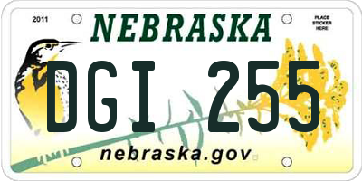 NE license plate DGI255