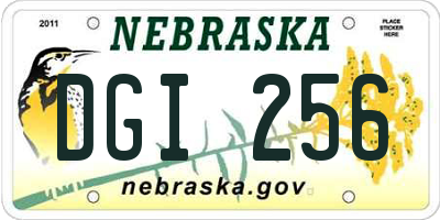 NE license plate DGI256