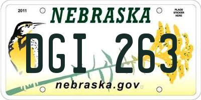 NE license plate DGI263