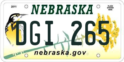 NE license plate DGI265