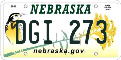 NE license plate DGI273