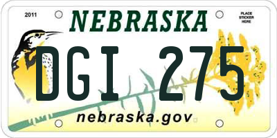 NE license plate DGI275