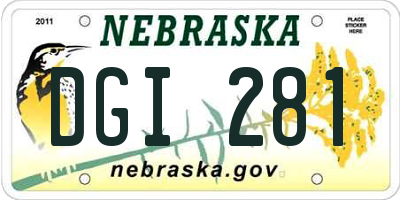 NE license plate DGI281