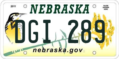 NE license plate DGI289
