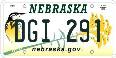 NE license plate DGI291