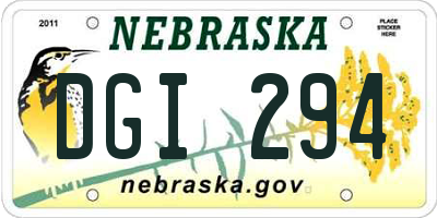 NE license plate DGI294