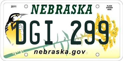 NE license plate DGI299