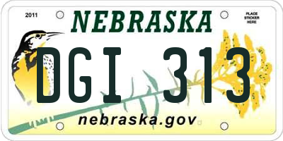 NE license plate DGI313