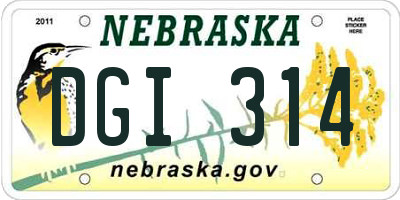 NE license plate DGI314
