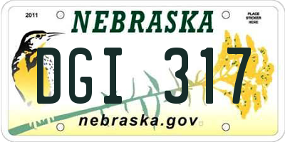 NE license plate DGI317