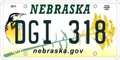 NE license plate DGI318