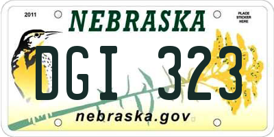 NE license plate DGI323