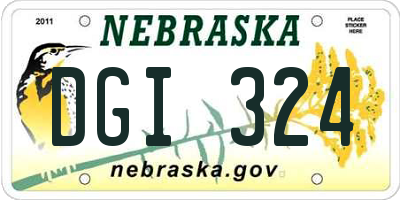 NE license plate DGI324