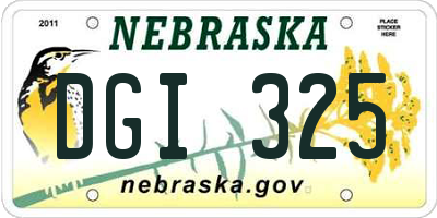 NE license plate DGI325
