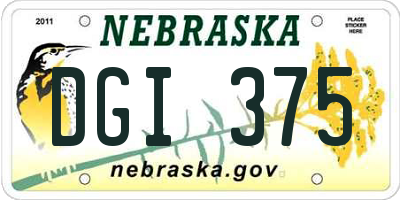NE license plate DGI375