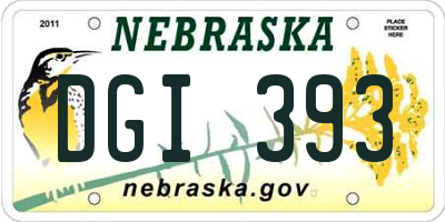 NE license plate DGI393