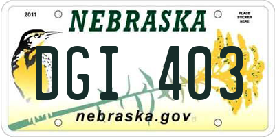 NE license plate DGI403