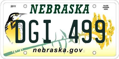 NE license plate DGI499