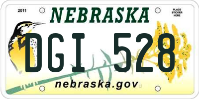 NE license plate DGI528