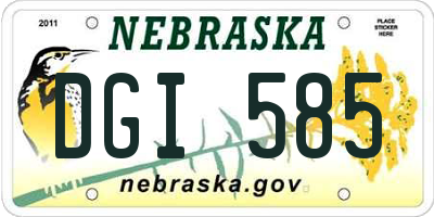 NE license plate DGI585