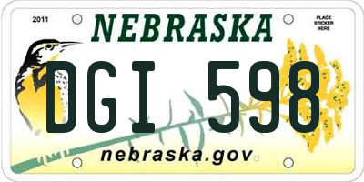 NE license plate DGI598