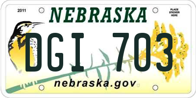 NE license plate DGI703