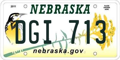 NE license plate DGI713