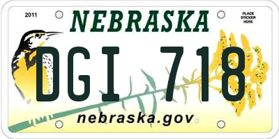 NE license plate DGI718