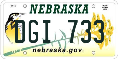 NE license plate DGI733