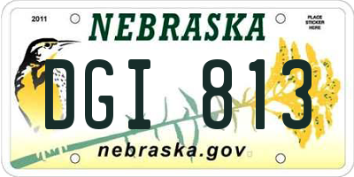 NE license plate DGI813