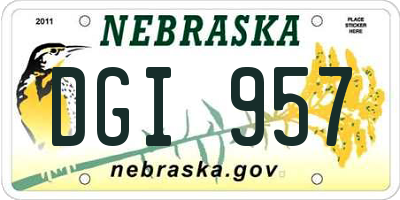 NE license plate DGI957