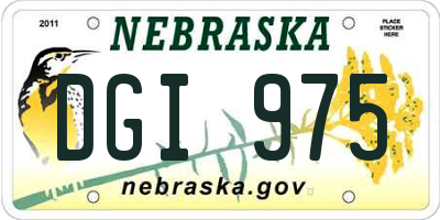 NE license plate DGI975