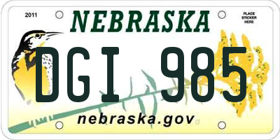 NE license plate DGI985