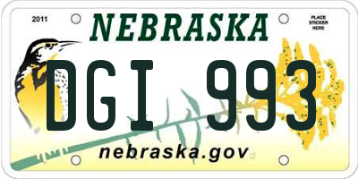 NE license plate DGI993