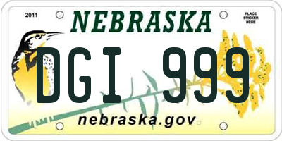 NE license plate DGI999