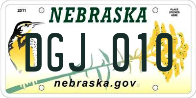 NE license plate DGJ010