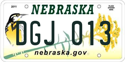 NE license plate DGJ013