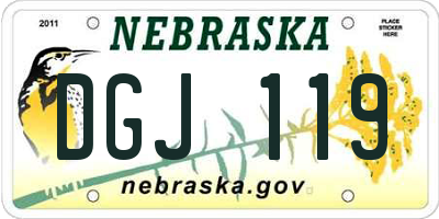 NE license plate DGJ119
