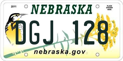 NE license plate DGJ128