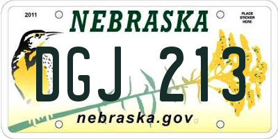 NE license plate DGJ213