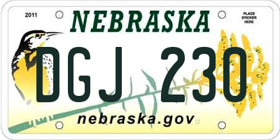 NE license plate DGJ230