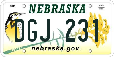 NE license plate DGJ231